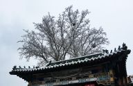 雪后北京