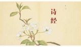 打开大美中华的大千世界