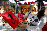 美国迪士尼加州冒险乐园红红火火迎鼠年