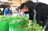 防疫销售两不误