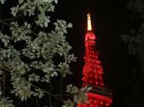 东京塔点亮“中国红”为中国抗击疫情加油
