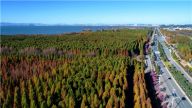 赵锡军：2020年中国经济工作重点