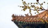 坚持社会主义办学方向，办人民满意的教育