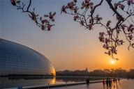 春暖花开 国家大剧院