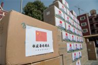 中国驻埃及大使馆向留学生发放“健康包”