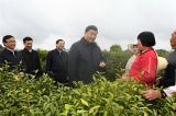 习近平在陕西考察