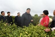 习近平在陕西考察
