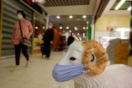 疫情之下的布加勒斯特市民生活