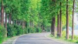 紧跟时代砥砺前行 牢记习近平总书记的殷切希望