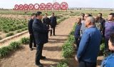 习近平：全面建成小康社会 乘势而上书写新时代中国特色社会主义新篇章