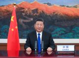 习近平在第73届世界卫生大会视频会议开幕式上致辞