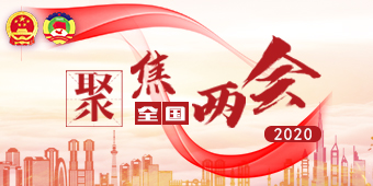 2020年全国两会专题