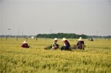 不同寻常的两会 万众一心的力量——写在2020年全国两会召开之际