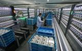 江苏：电能表智慧检测精准计量 服务人民美好生活