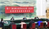 汪洋参加台湾代表团审议