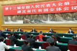 习近平参加湖北代表团审议