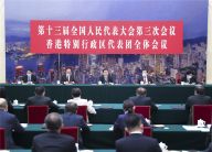 韩正参加香港代表团审议