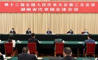王岐山参加湖南代表团审议