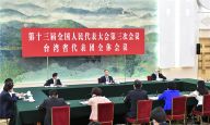 汪洋参加台湾代表团审议