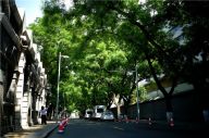 北京：夏天的东交民巷