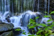 北京：京北玉渡山天然大氧吧