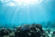 海南三亚：中国首个热带海洋牧场雏形初现