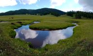 新疆哈巴河高山牧场美如画
