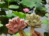 北京：圆明园欣赏昔日夏宫的荷花美景品尝荷花冰激凌