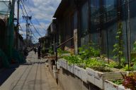 夏日胡同街景
