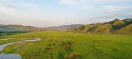 乌兰毛都草原盛夏即景