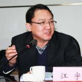 江宇：党中央治国理政的伟大实践