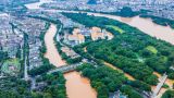 【地评线】京彩好评：在防汛救灾一线筑牢党性根基