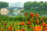 北京昌平新城滨河森林公园