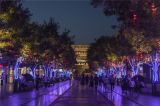 夜色正阳门