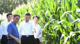 习近平在吉林考察时强调 坚持新发展理念深入实施东北振兴战略 加快推动新时代吉林全面振兴全方位振兴