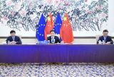 韩正同欧盟委员会第一副主席蒂默曼斯举行视频会见