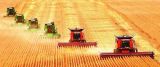 端牢“中国饭碗”是习近平始终惦念的事情