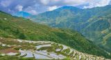 落地生根开花结果——“两山”理念的中国实践