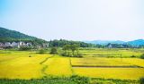 【地评线】京彩好评：关心关爱扶贫干部，决战决胜脱贫攻坚