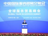 韩正出席2020年中国国际服务贸易交易会全球服务贸易峰会