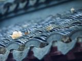 中国文化传统与经济发展
