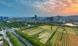 【地评线】京彩好评：探寻复兴路上的“时代足迹” 