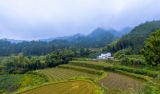 【地评线】京彩好评：凝心聚力 为实现人民的美好向往而不懈奋进