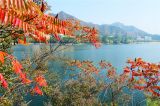 北京遥桥峪水库层林尽染 秋色如画