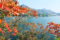 北京遥桥峪水库层林尽染 秋色如画