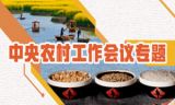 2019年中央农村工作会议专题