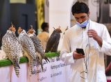 卡塔尔举办第四届国际狩猎和猎鹰展