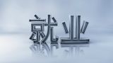 解决就业问题与民营经济的作用