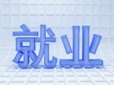 解决就业问题与民营经济的作用
