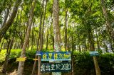 进博会提供了一个共享中国发展机遇的平台
